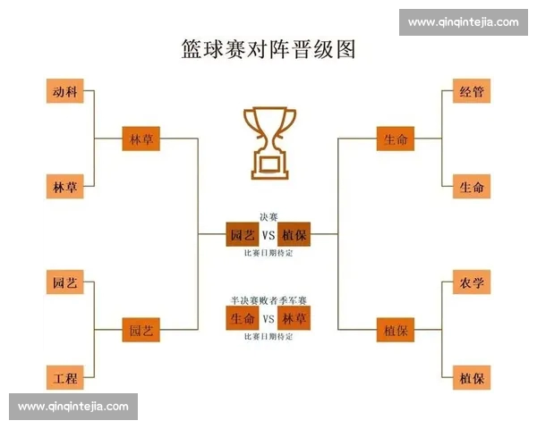 2026篮球赛事精彩纷呈全球赛事布局新趋势与球队动向解析