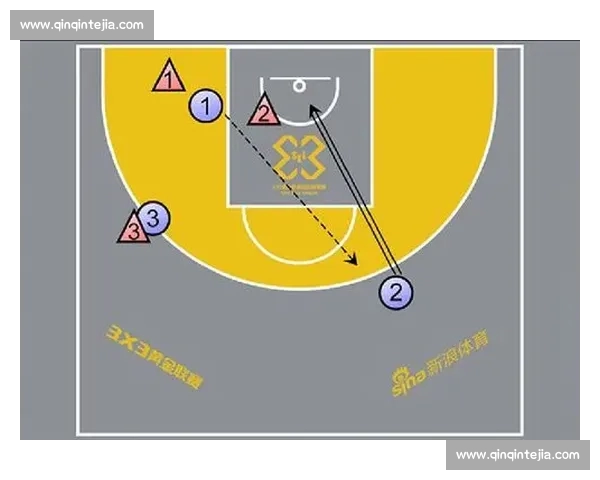 全面解析综合体育平台入口的优势与使用指南