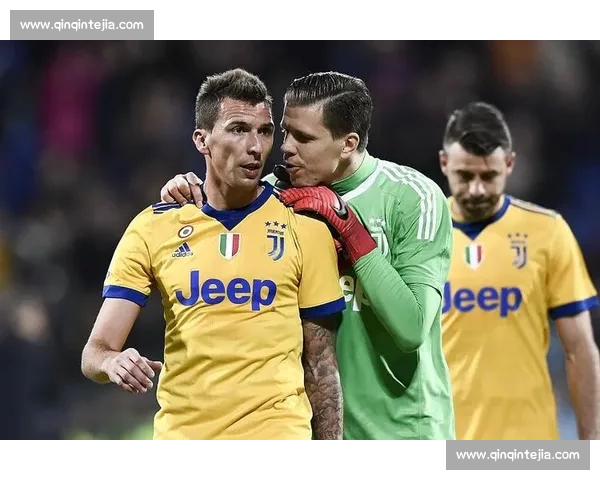 2026最新意甲直播APP下载指南畅享高清赛事与实时互动体验 2026最新意甲直播APP下载指南畅享高清赛事与实时互动体验